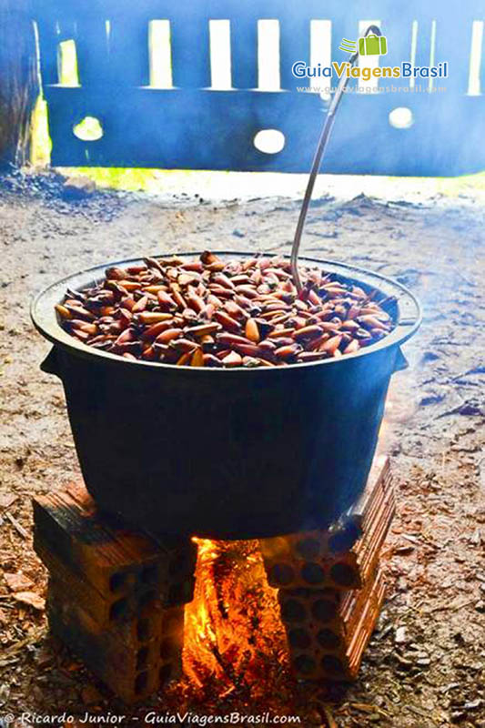 Imagem aproximada da panela com pinhão, comida típica da região.